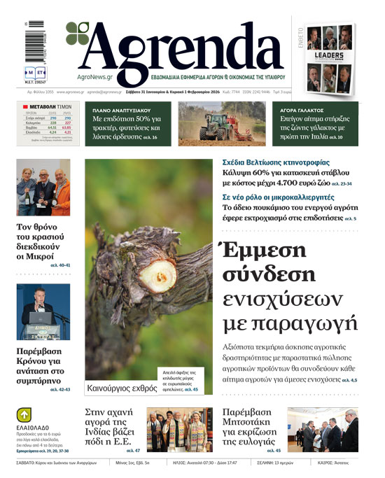 Χαμηλές προσδοκίες για δεύτερη διορθωτική πληρωμή Φεβρουάριο σε έλεγχο 14,8 εκατ. με το ΟΣΔΕ ακόμη κλειστό