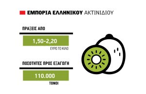 Έως 2,20 ευρώ οι εξαγωγές ακτινιδίου, αύξηση 10% στα κιλά περίπου 350.000 τόνους