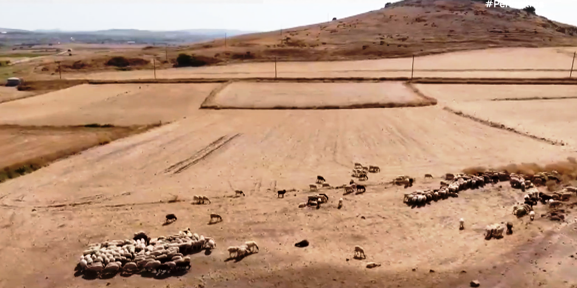 Λήμνος: Διαφημιστική καμπάνια για την ελληνική γαστρονομία