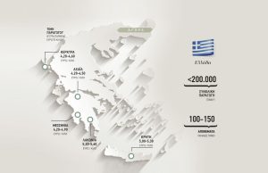 Ελαίας Καρπός