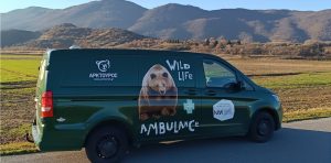 Το πρώτο ασθενοφόρο για άγρια θηλαστικά στην Ελλάδα απέκτησε ο Αρκτούρος