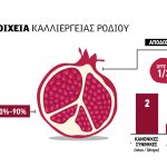 Με 30 λεπτά αλλά χωρίς ποσότητες το ρόδι, διαχείριση κρίσης φέτος - Fresher