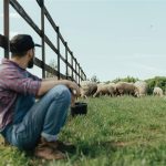 Ξεκίνησε η επιδοτούμενη κατάρτιση κτηνοτρόφων για ζωονόσους