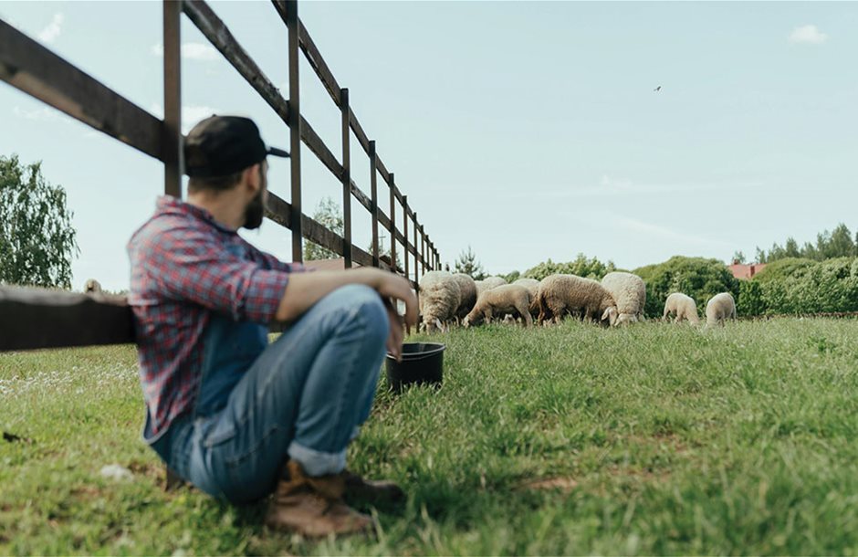 Ξεκίνησε η επιδοτούμενη κατάρτιση κτηνοτρόφων για ζωονόσους