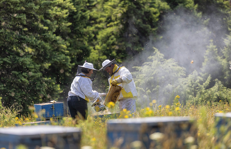 Αγνό ποιοτικό μέλι με ταυτότητα από Ευρυτανία