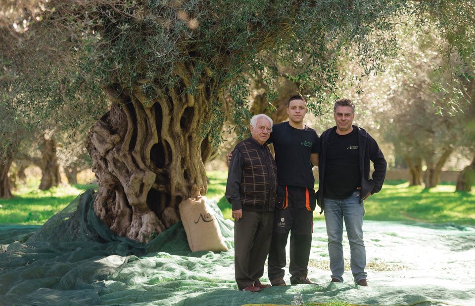 Πέντε γενιές στον ελαιώνα και έμφαση στον αγροτουρισμό για την Lianos Olive Estate