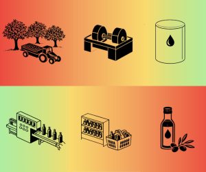 Ελαιοκομικός Τομέας: Προβλήματα και Προοπτικές