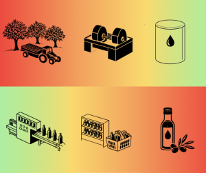 Διήμερο Συνέδριο για τον ελαιοκομικό τομέα διοργανώνει τον Μάιο η 4 Ε