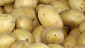 Υποχωρεί η κατανάλωση φρέσκιας πατάτας στην Ευρώπη λόγω αλλαγών στις διατροφικές συνήθειες