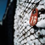 Μαζί με το ΟΣΔΕ 2026 πρόσκληση για το πριμ άνθρακα 31 ευρώ στο βαμβάκι και 70 ευρώ σε βιομηχανική ντομάτα