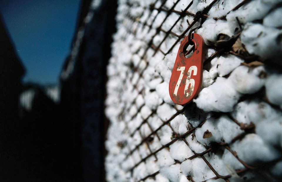 Μαζί με το ΟΣΔΕ 2026 πρόσκληση για το πριμ άνθρακα 31 ευρώ στο βαμβάκι και 70 ευρώ σε βιομηχανική ντομάτα