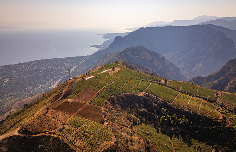 Αξία στην Αιγιάλεια και το ελληνικό κρασί δημιουργεί εδώ και 35 χρόνια η οικογένεια Ρούβαλη - Winetrails