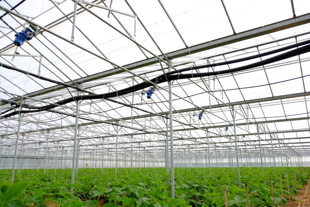 Καταστροφές σε θερμοκήπια στην Ηλεία από ανεμοστρόβιλο