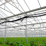 Καταστροφές σε θερμοκήπια στην Ηλεία από ανεμοστρόβιλο