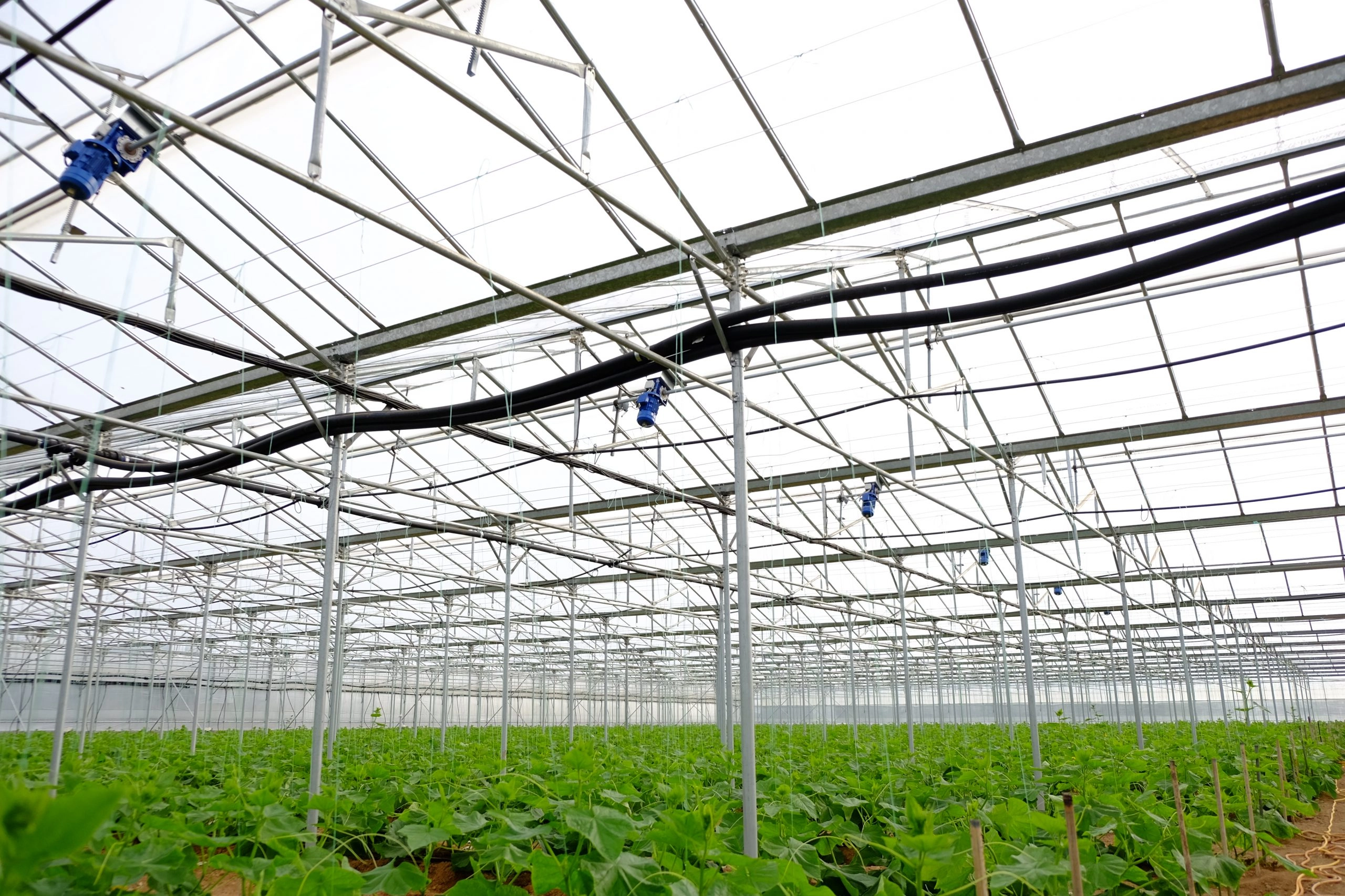 Καταστροφές σε θερμοκήπια στην Ηλεία από ανεμοστρόβιλο