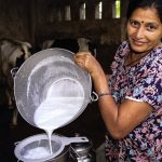 Παγκόσμιο πρόβλημα αυτάρκειας γαλακτοκομικών δείχνει νέα έρευνα