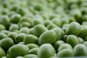 Η ποιότητα ελαιόλαδου και τα κρυφά κόστη της πρόωρης συγκομιδής