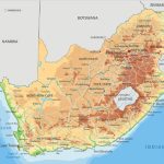 Καλές προοπτικές κατανάλωσης ελαιολάδου και ελιών στη Νότια Αφρική