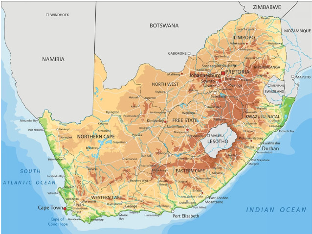 Καλές προοπτικές κατανάλωσης ελαιολάδου και ελιών στη Νότια Αφρική