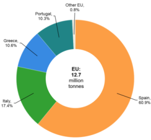 Η ελαιοπαραγωγή ανακάμπτει με ελληνικό μερίδιο 10,6% στην ΕΕ