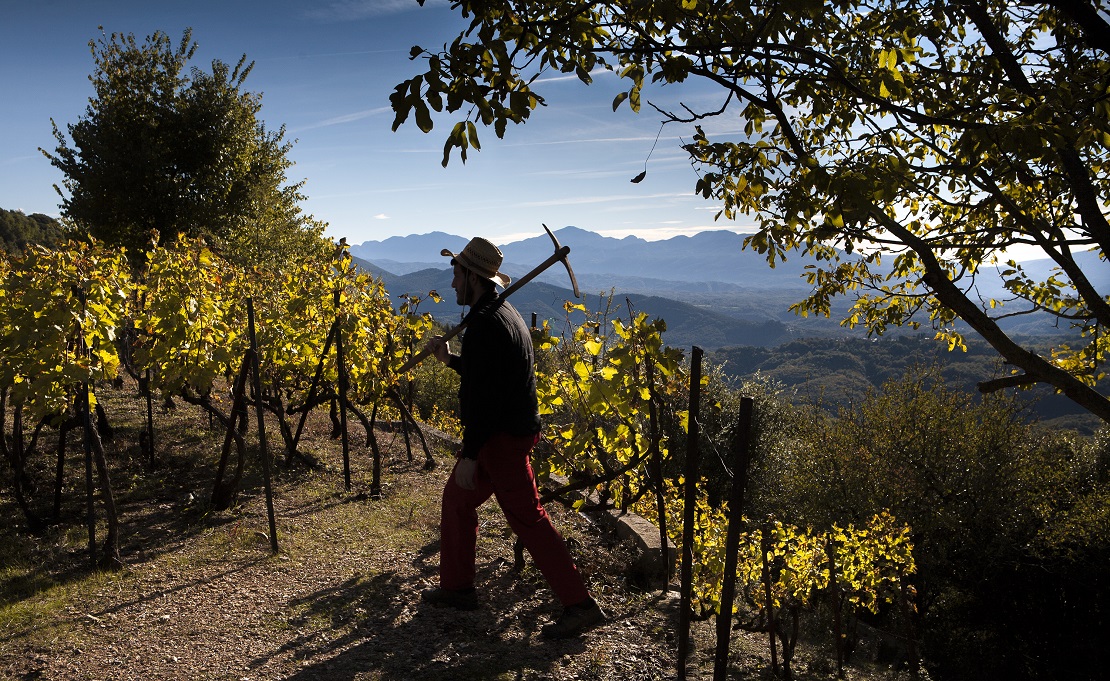 Οι ορεινοί αμπελώνες της Ελλάδας στο προσκήνιο της 1ης φετινής συνάντησης του Wine Club THESSALONIKI’ 96