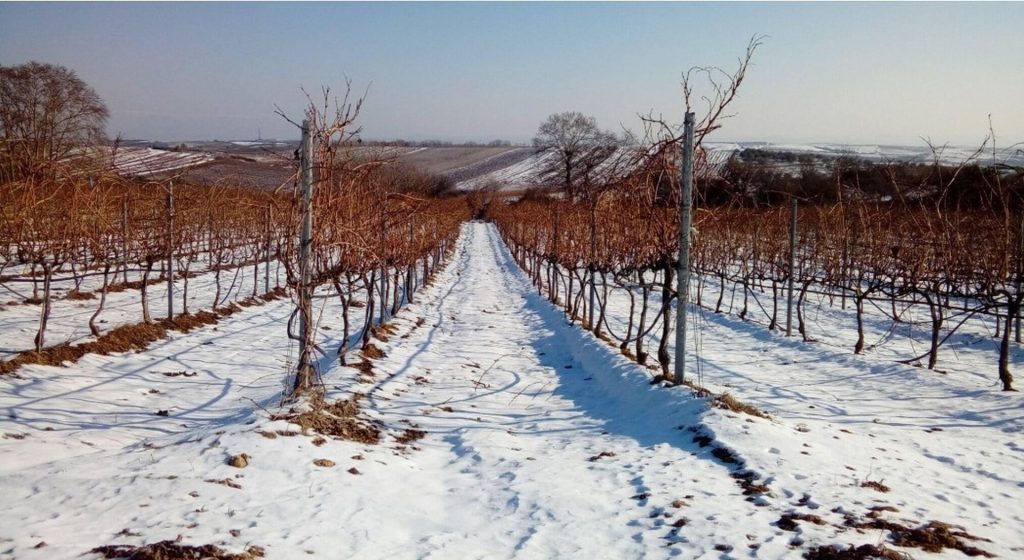 Εκδόθηκαν νέα πορίσματα και ο ΕΛΓΑ θα καταβάλλει αποζημιώσεις στο 75% • Έλληνας Αγρότης