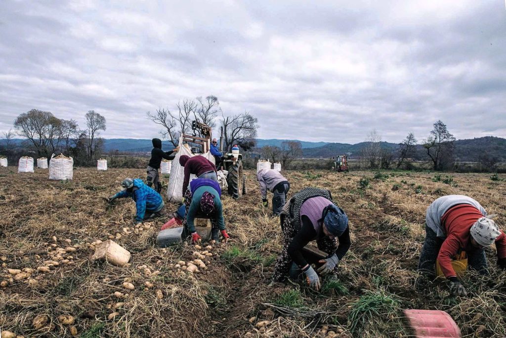 Τα τελευταία 4 χρόνια έχουν «χαθεί» 162 άνθρωποι εν ώρα αγροτικής εργασίας • Έλληνας Αγρότης
