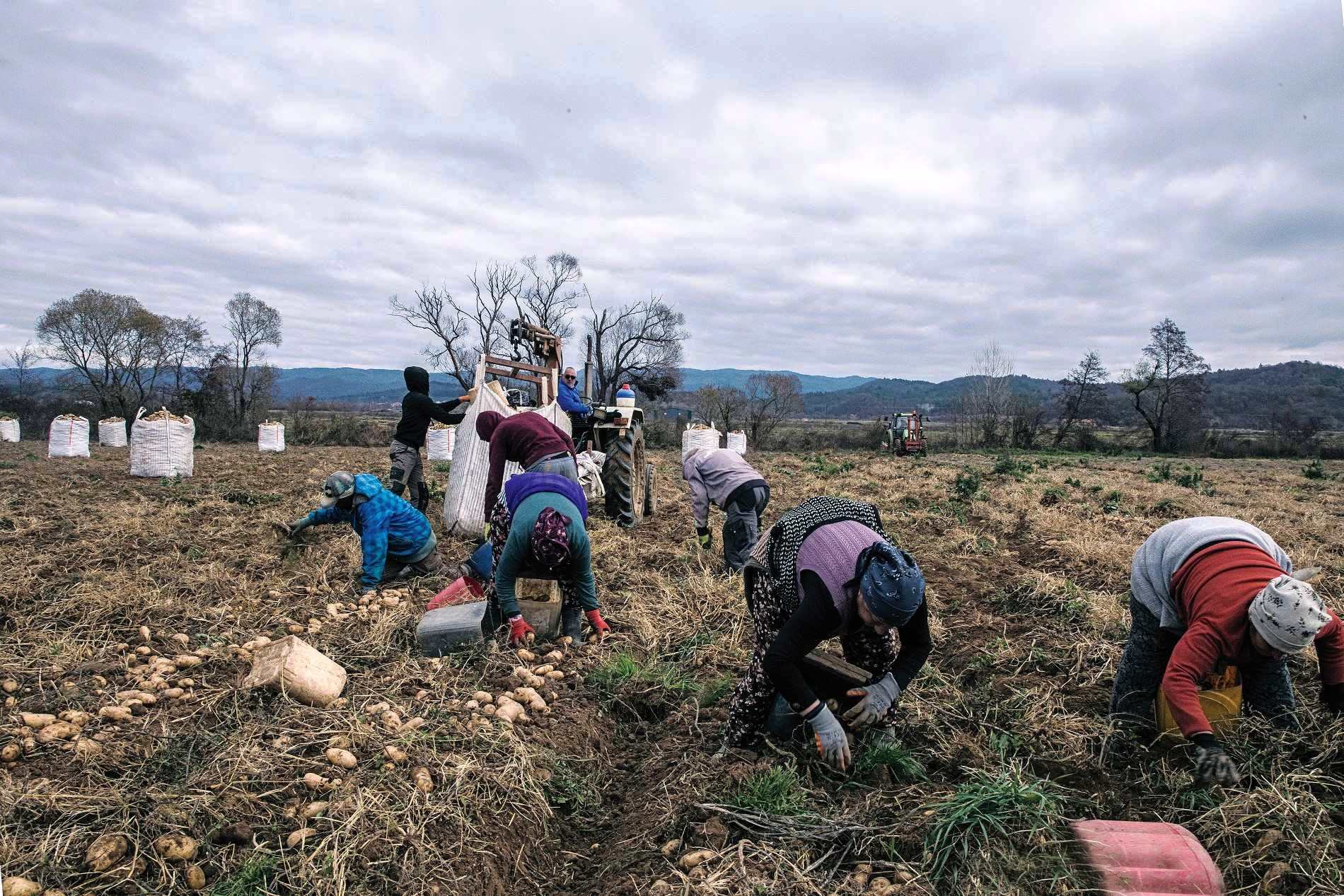 Τα τελευταία 4 χρόνια έχουν «χαθεί» 162 άνθρωποι εν ώρα αγροτικής εργασίας • Έλληνας Αγρότης