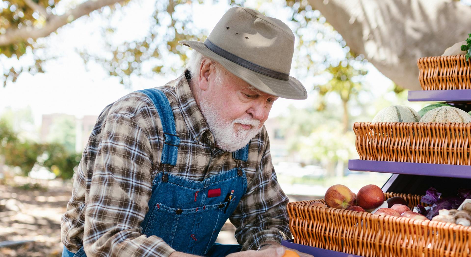 Η δήλωση απασχόλησης στον e-ΕΦΚΑ είναι υποχρεωτική - Πλήρης οδηγός για συνταξιούχους • Έλληνας Αγρότης