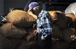 Στις 27 Ιανουαρίου η καταβολή αγροτικών συντάξεων Φεβρουαρίου