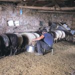 Από 23/1 ξεκινούν δηλώσεις ζημιών λόγω ανεμοθύελλας από κτηνοτρόφους στον ΕΛΓΑ Αλμυρού Βόλου • Έλληνας Αγρότης