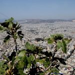 Οι οδηγίες της ΑΑΔΕ για την έκπτωση ΕΝΦΙΑ – Αιτήσεις μέχρι 16 Φεβρουαρίου και για όσους είχαν ήδη υποβάλει πέρυσι