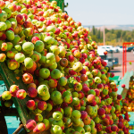 Η ΕΕ εξετάζει τη συμφωνία ελεύθερου εμπορίου με την Ουκρανία για φρούτα και λαχανικά