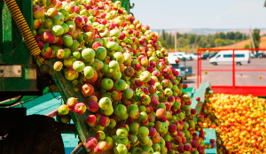 Η ΕΕ εξετάζει τη συμφωνία ελεύθερου εμπορίου με την Ουκρανία για φρούτα και λαχανικά