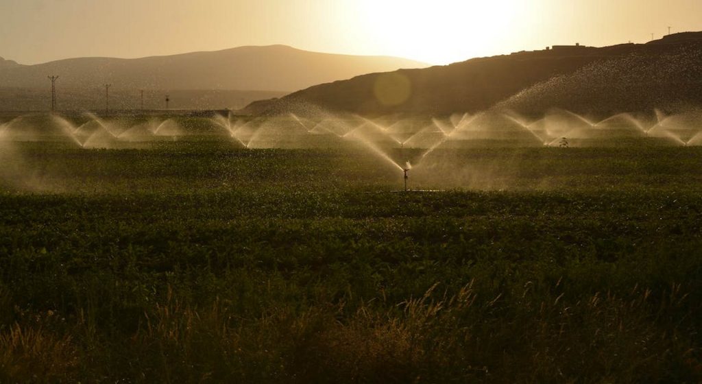 Οι αγρότες του Έβρου χωρίς νερό - Τα φράγματα δεν λειτουργούν, παρά τις υποσχέσεις • Έλληνας Αγρότης