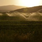 Οι αγρότες του Έβρου χωρίς νερό - Τα φράγματα δεν λειτουργούν, παρά τις υποσχέσεις • Έλληνας Αγρότης