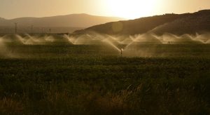 Οι αγρότες του Έβρου χωρίς νερό - Τα φράγματα δεν λειτουργούν, παρά τις υποσχέσεις • Έλληνας Αγρότης
