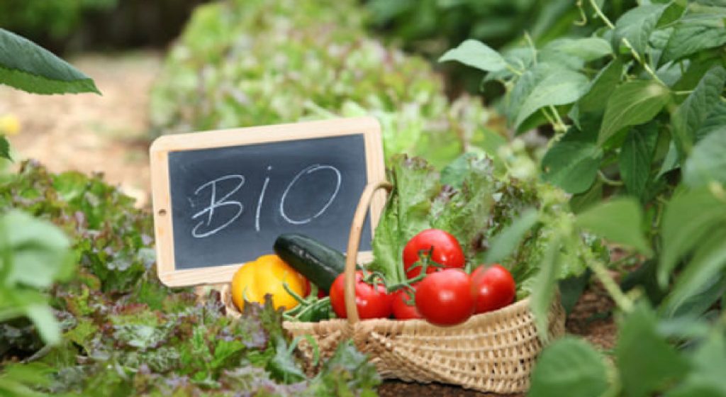 Οι Υπουργοί Γεωργίας της Ε.Ε. συζητούν για την αλιεία και για αλλαγές στον κανονισμό για τη Βιολογική Γεωργία • Έλληνας Αγρότης