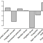 Τελικά πόσο ευεργετική είναι η ελαιοκαλλιέργεια για το οικοσύστημα;