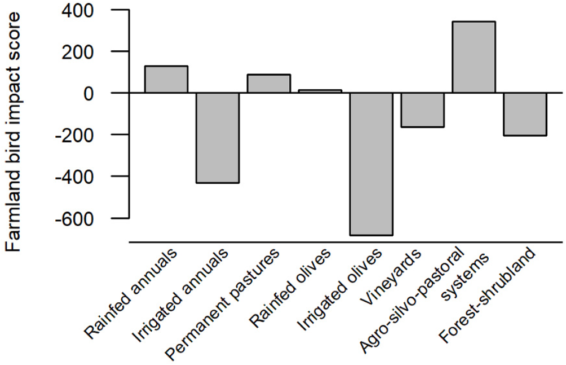 Τελικά πόσο ευεργετική είναι η ελαιοκαλλιέργεια για το οικοσύστημα;