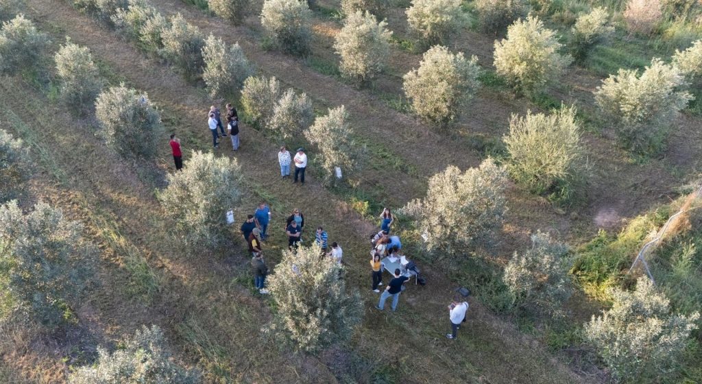 Η εφαρμογή του Βορίου κατά τους χειμερινούς μήνες • Έλληνας Αγρότης