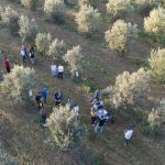 Η εφαρμογή του Βορίου κατά τους χειμερινούς μήνες • Έλληνας Αγρότης