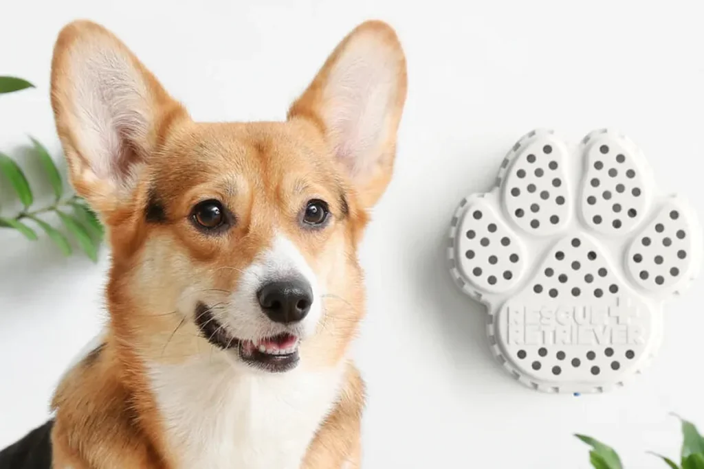 CES 2026: Η τεχνητή νοημοσύνη στο επίκεντρο