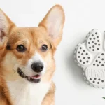 CES 2026: Η τεχνητή νοημοσύνη στο επίκεντρο