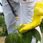 Πόλεμοι Πατεντών 2025: Πώς οι τέσσερις κολοσσοί των αγροχημικών ανταγωνίζονται στην εποχή της ανθεκτικότητας