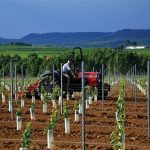 Μετά την αποκατάσταση του φυτικού κεφαλαίου το 40% της εξόφλησης απ' τον ΕΛΓΑ