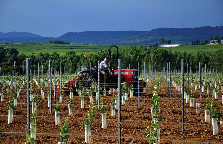 Μετά την αποκατάσταση του φυτικού κεφαλαίου το 40% της εξόφλησης απ' τον ΕΛΓΑ