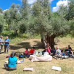 Ελαιοτουρισμός, όχι μόνο σε Ιταλία αλλά και σε Ισπανία και Τυνησία