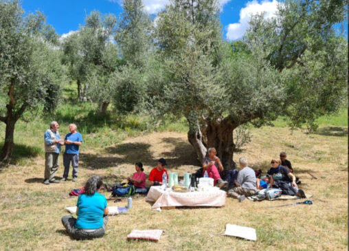 Ελαιοτουρισμός, όχι μόνο σε Ιταλία αλλά και σε Ισπανία και Τυνησία