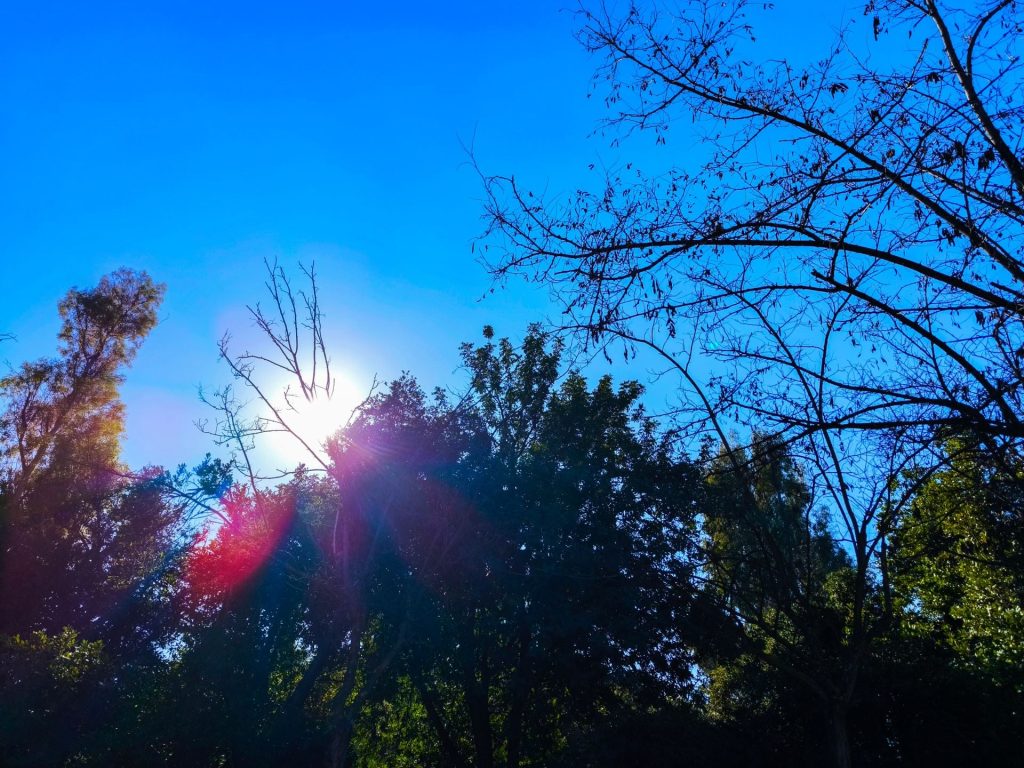 Καιρός: Υποχωρεί το ψύχος - Πού θα βρέξει